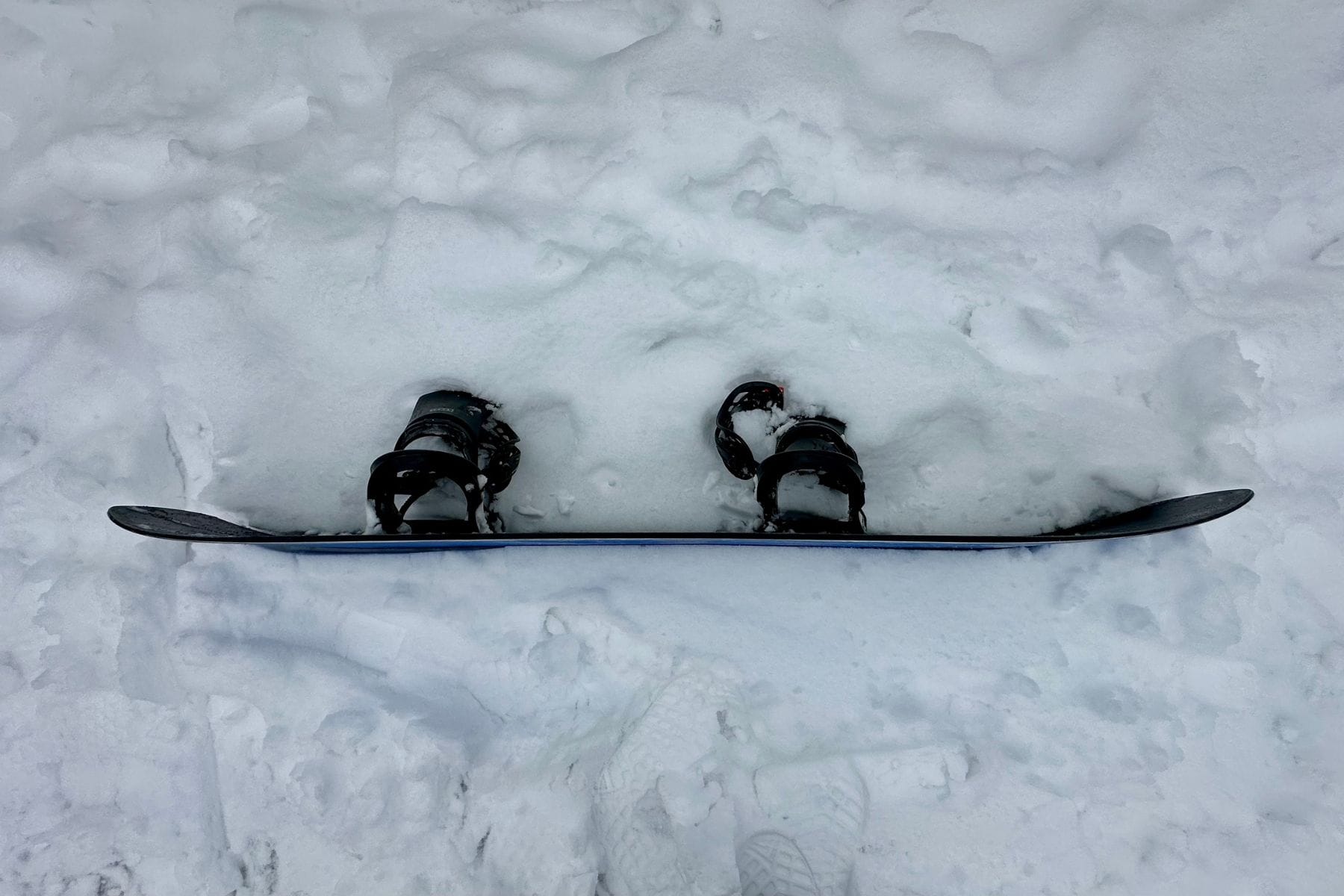 burton-family-tree-hometown-hero-directional-camber-bend
