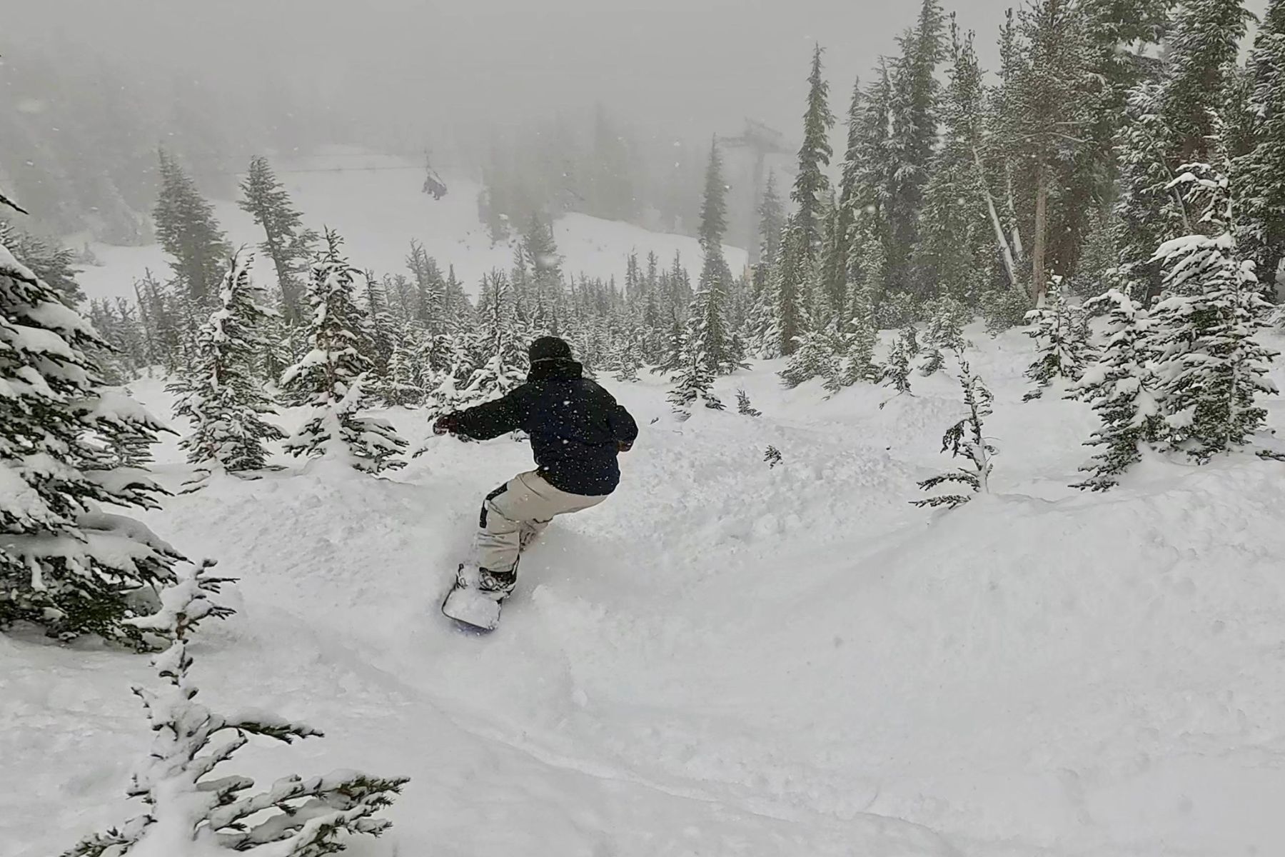 burton-family-tree-hometown-hero-riding
