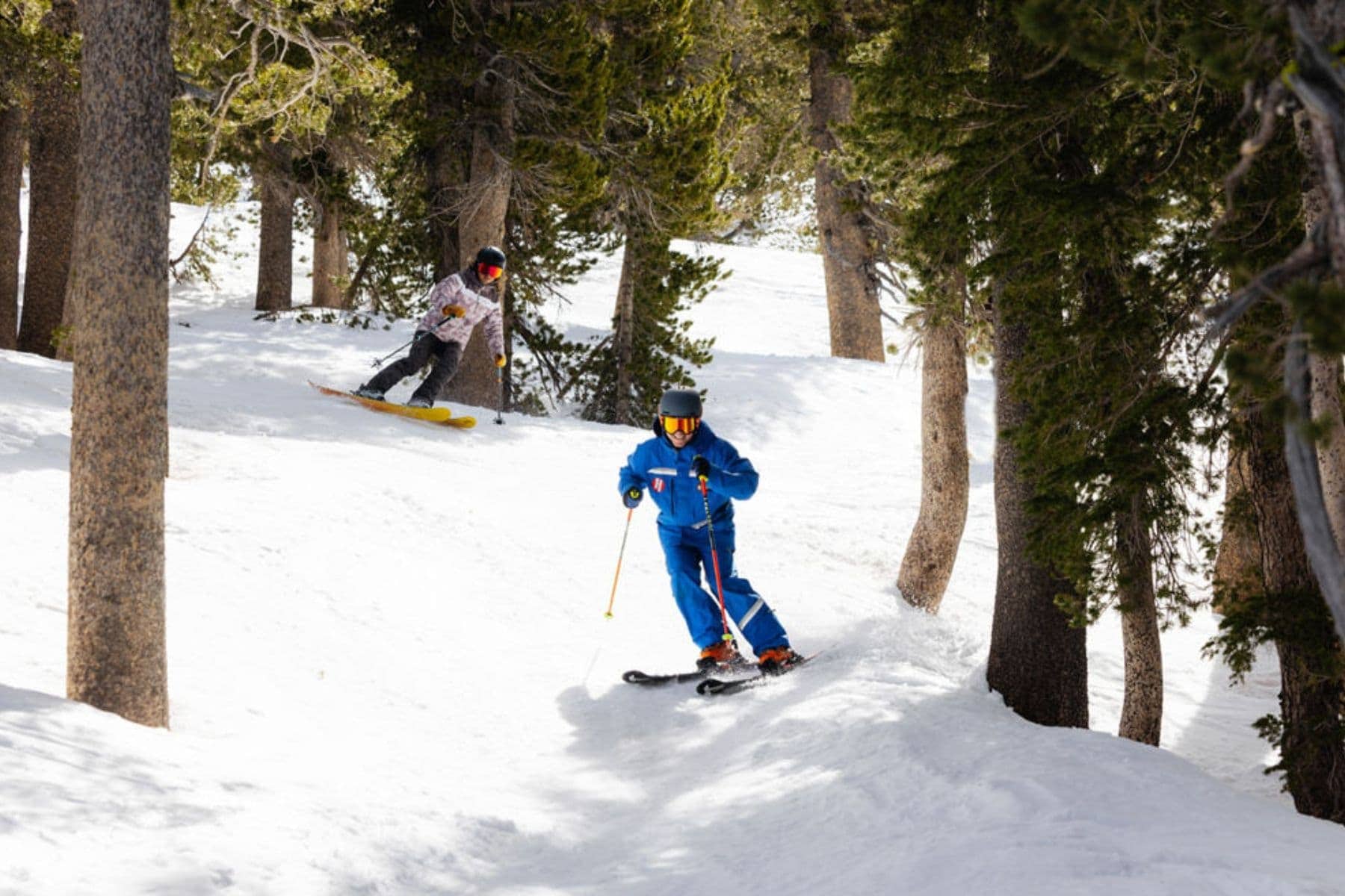 Heavenly Ski Resort Routine Skiers