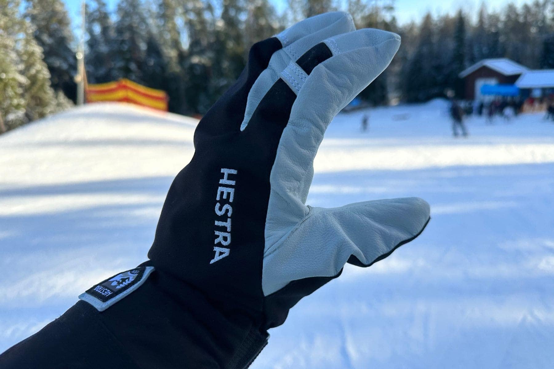 HESTRA Army Leather Heli Ski 3-finger