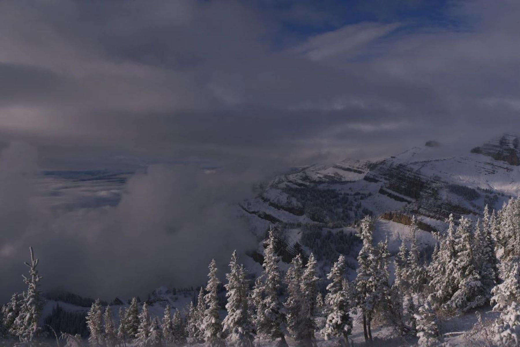 Jackson Hole Featured Image