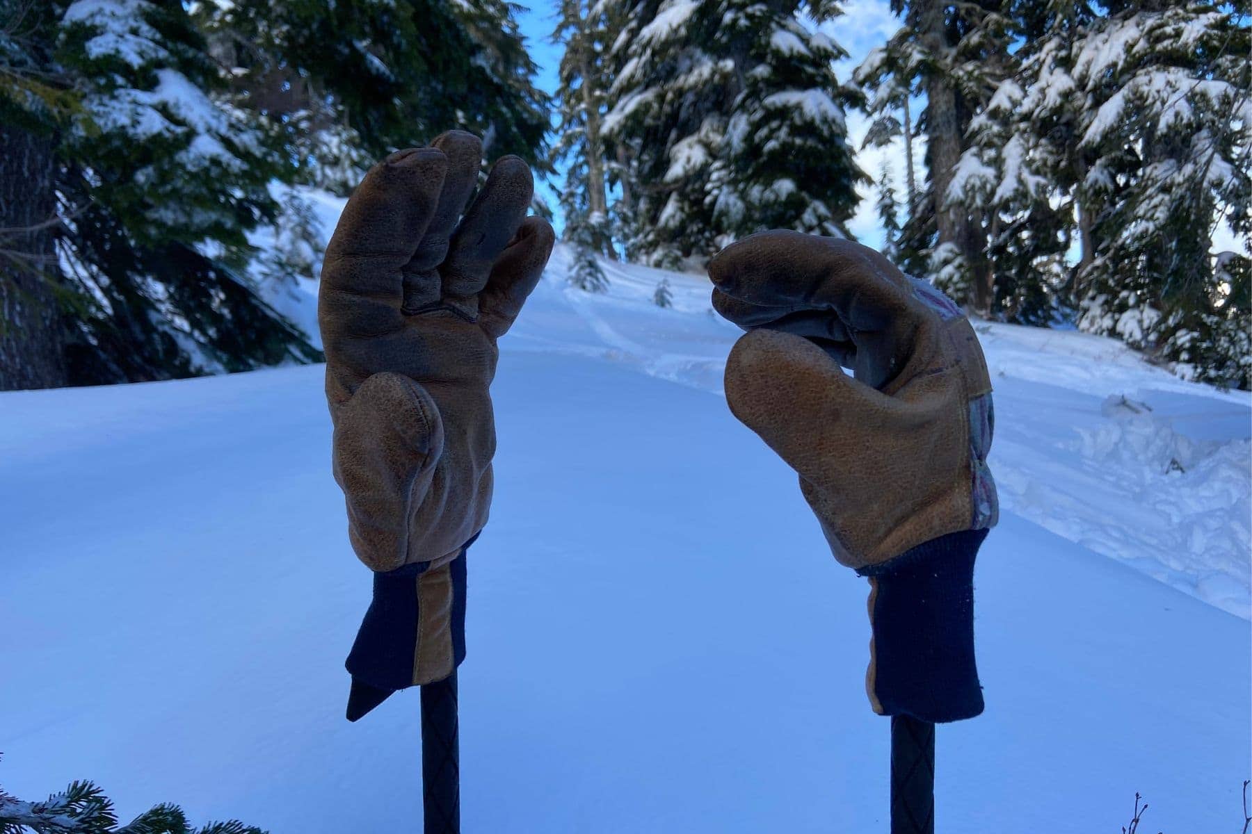 kinco-gloves-on-ski-poles