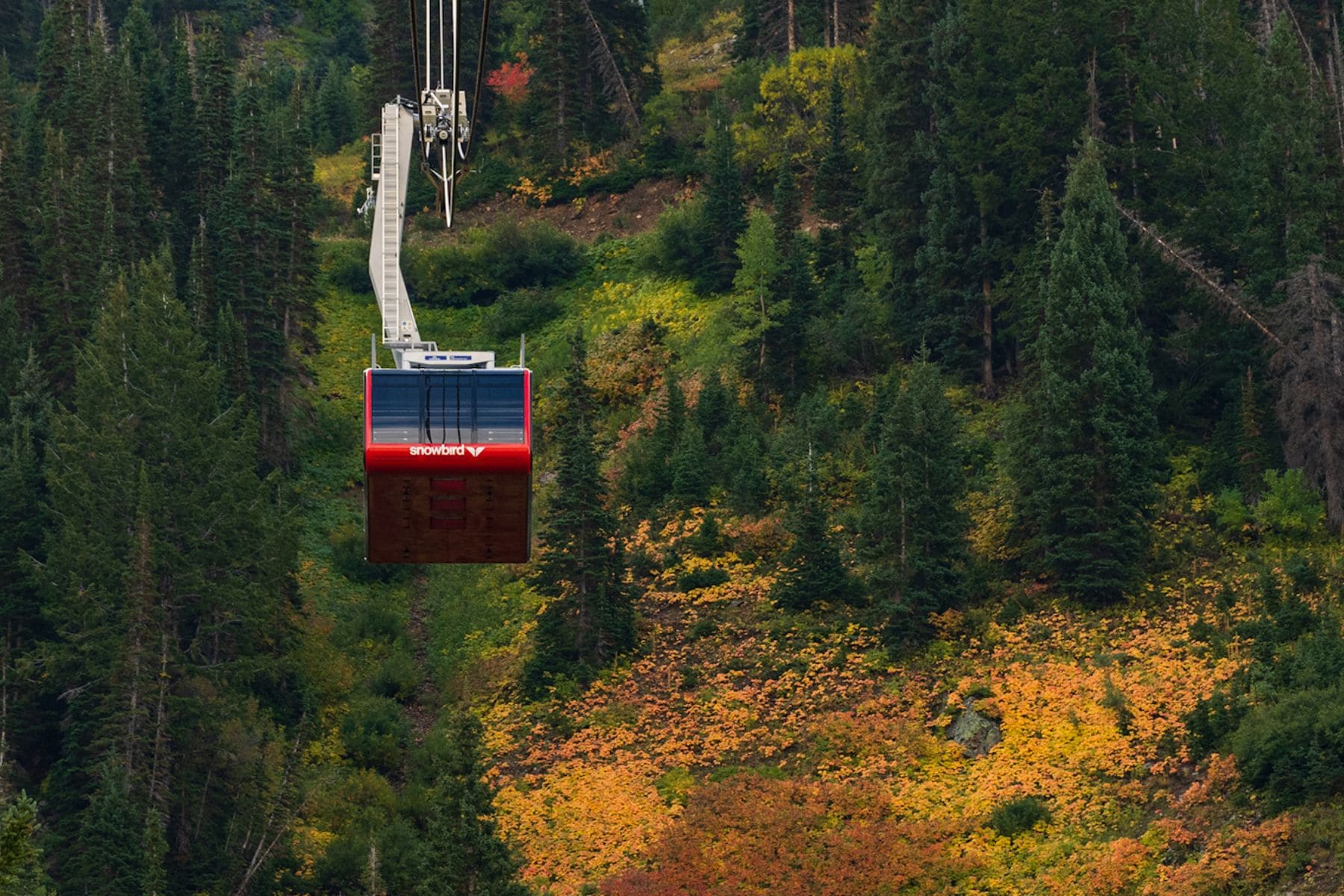 Snowbird Ski Resort Ski Cable
