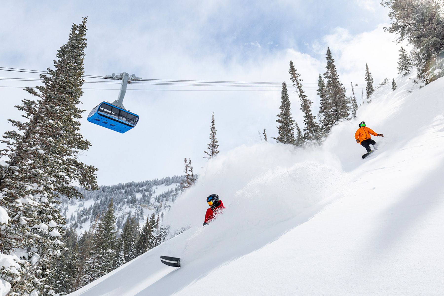 Snowbird Ski Resort Skiers
