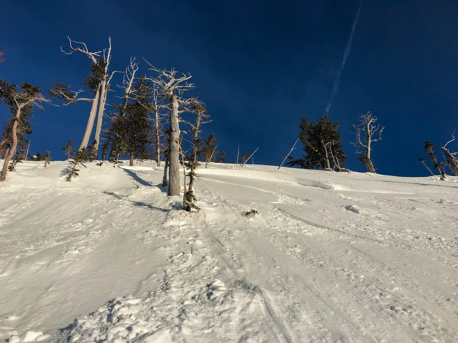 Crown from a wind slab avalanche 
